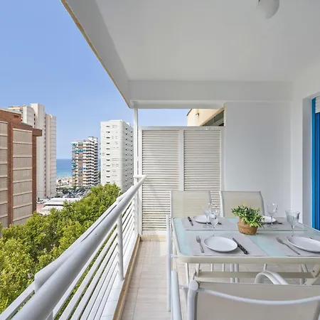 Currus Caballos Benidorm