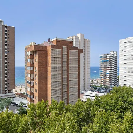 Currus Caballos Benidorm