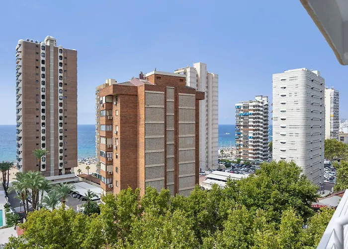 Currus Caballos Benidorm