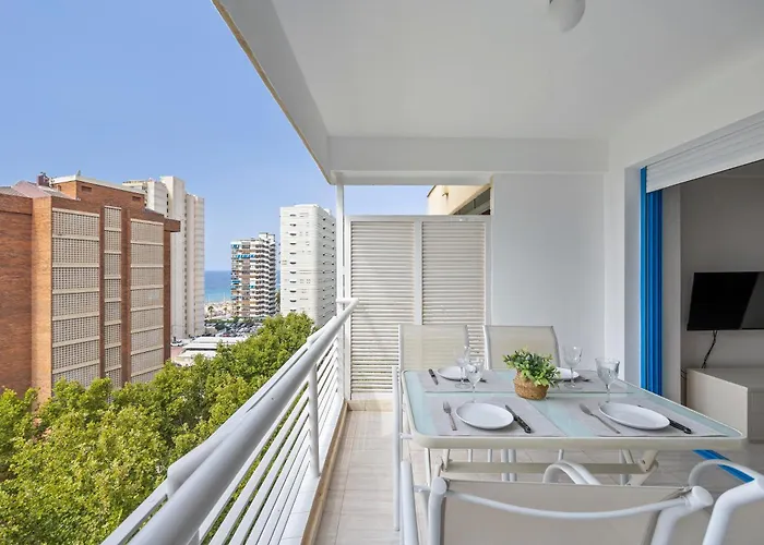 Currus Caballos Benidorm